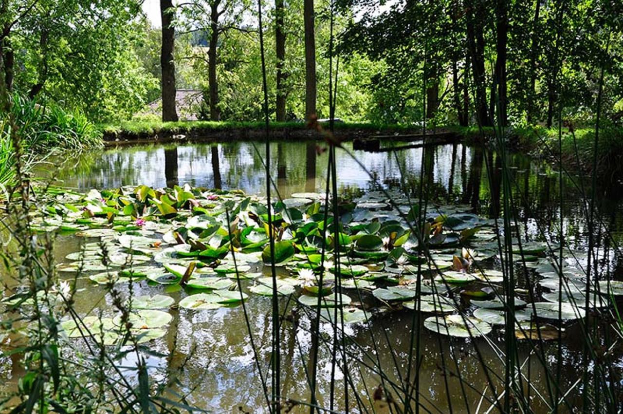 Landhausgarten Bunzmann Berg  Extérieur photo